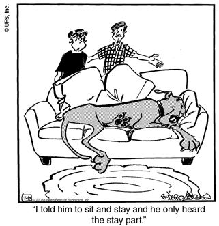 marmaduke